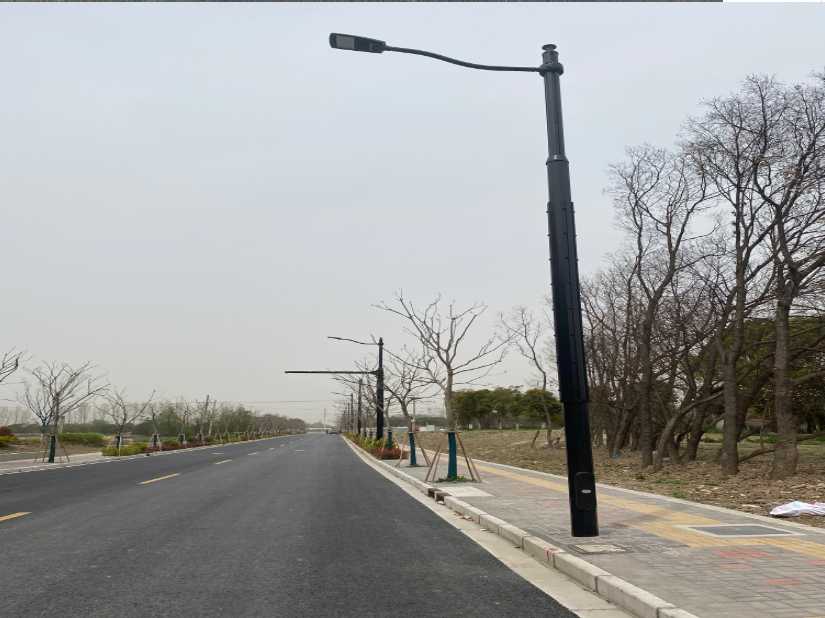 隆林各族自治县上海综合杆 太阳能路灯工程